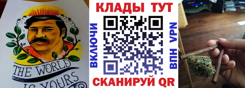 Что такое Судак A PVP  Галлюциногенные грибы  Гашиш  Канабис  Меф 