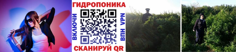 сколько стоит  Судак  МАРИХУАНА индика 